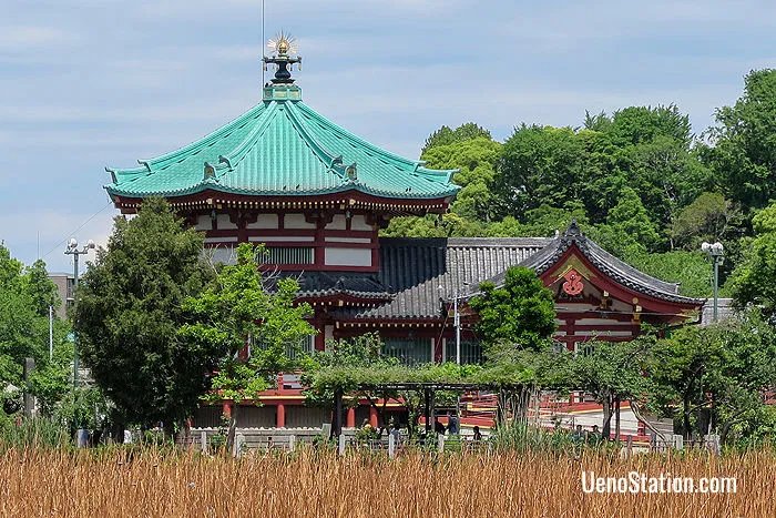 ⛩️ 시노바즈노이케 변천당 (不忍池辨天堂) 이미지 1